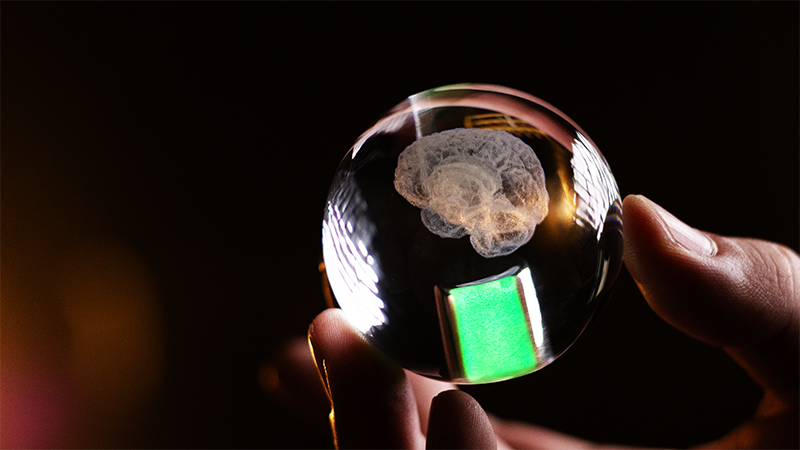 The Curieous Mind